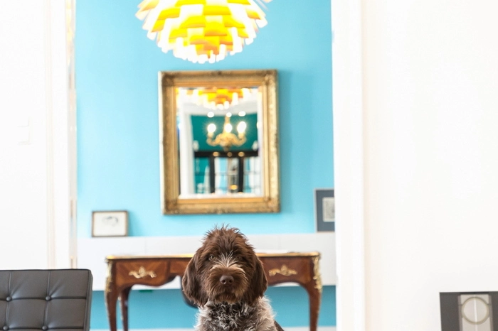 Im Salon hat der Hausherr, nicht der Bauherr Platz genommen. Dahinter im Bild: Das Arbeitszimmer mit der "Artichoke"-Lampe von Poul Henningsen.
