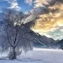 Wintertraum von Sarah Klaunzer-Sporer