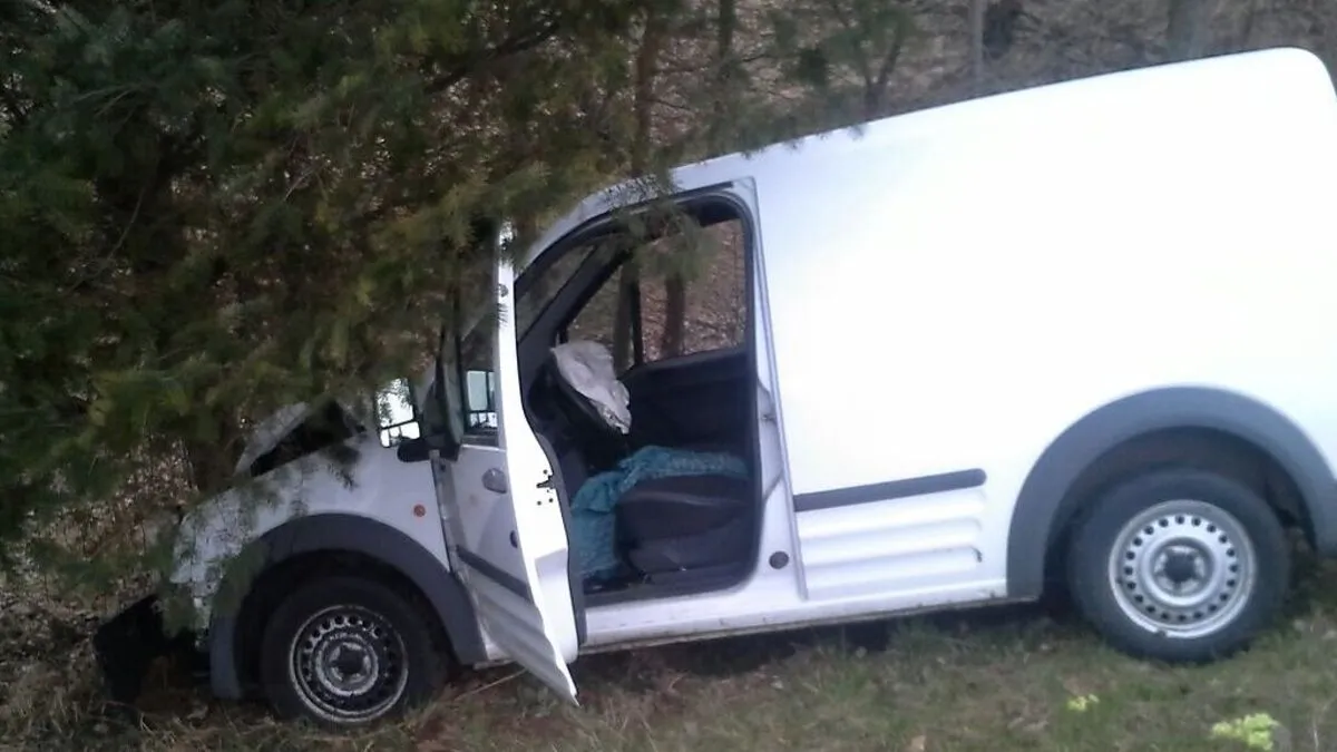 Baum stoppte Kastenwagen