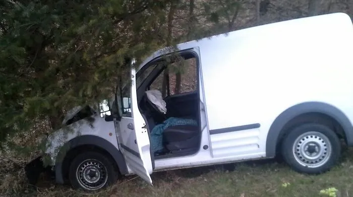 Baum stoppte Kastenwagen
