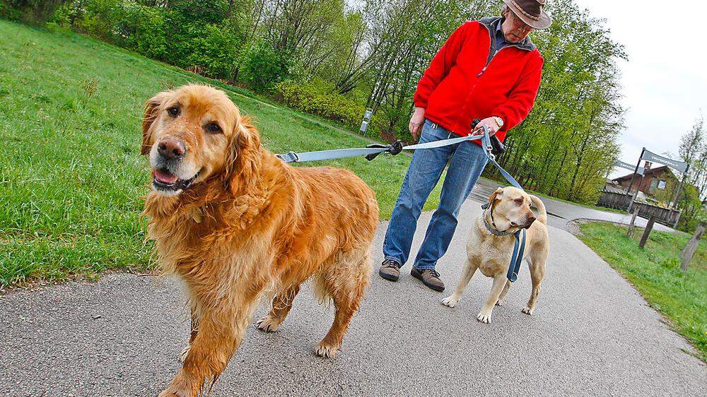    Hundebesitzer müssen ihre Vierbeiner laut Verordnung bei Spaziergängen an die Leine nehmen	