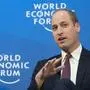 Prinz William sprach Klartext 