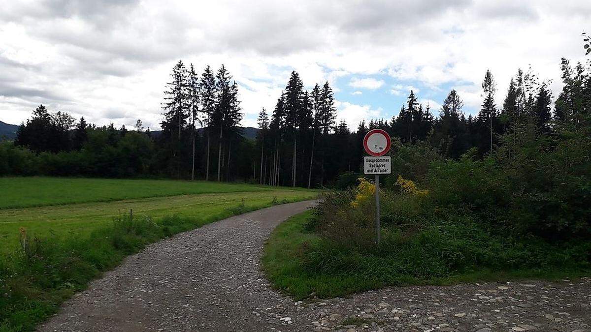 Auf dem beliebten Spazierweg im Murwald herrscht eigentlich Fahrverbot