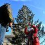 Die Stadt Rom trauert um ihren Christbaum