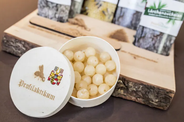 Die „ Baumzuckerln“ gibt es derzeit in drei verschiedenen Sorten; zwei weitere Geschmacksrichtungen sind in Arbeit.