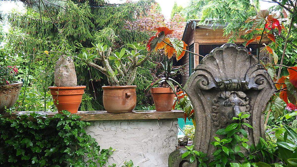 Mystisch und geheimnisvoll - das Gartenparadies von Klaus Wenzel