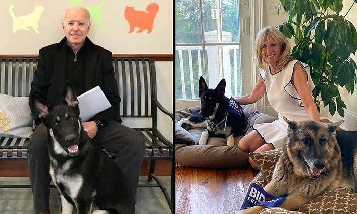 Joe und Jill Biden mit ihren Hunden