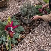 Die Grabpflege erlebt vor Allerheiligen ihren jährlichen Höhepunkt