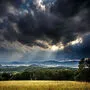 Regen und Gewitter hielten auch am Freitag die Feuerwehren auf Trab