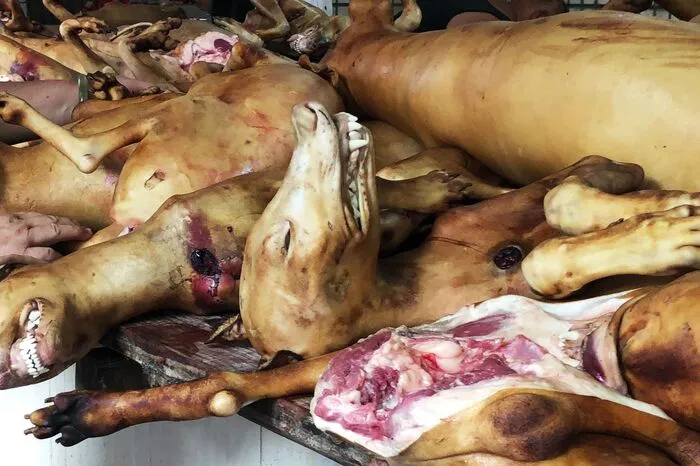 Ein anderer Marktbesucher namens Chen sagt: "Das ist sehr schmackhaft. Das sind alles Straßenköter - Streuner und Haustiere sind nicht das gleiche." Er sehe nicht ein, warum es verpönt sein sollte, im chinesischen Jahr des Hundes Hundefleisch zu essen. 