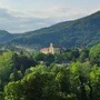 Am Kirchhügel in Bad Gleichenberg wurden Unkraut und Bäume mit einem Bagger entfernt. Ein größeres Bauprojekt ist derzeit nicht geplant
