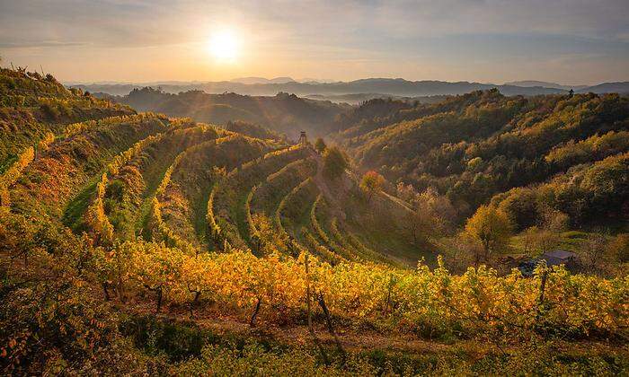 Die Weinregion Haloze erstreckt sich bis zur kroatischen Grenze
