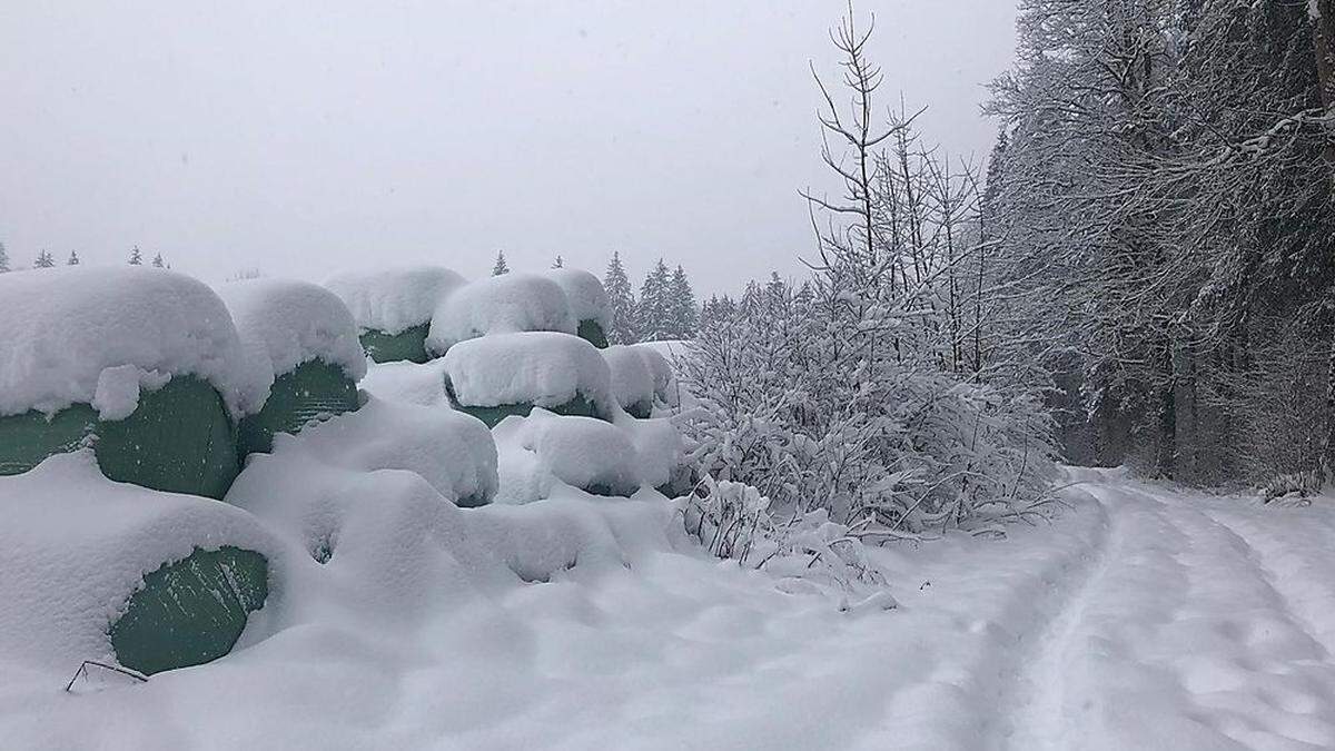 Ordentlich Schneefall gab es am Sonntag 