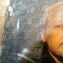 Julian Assange wird Ehrenmitglied des PEN-Zentrums
