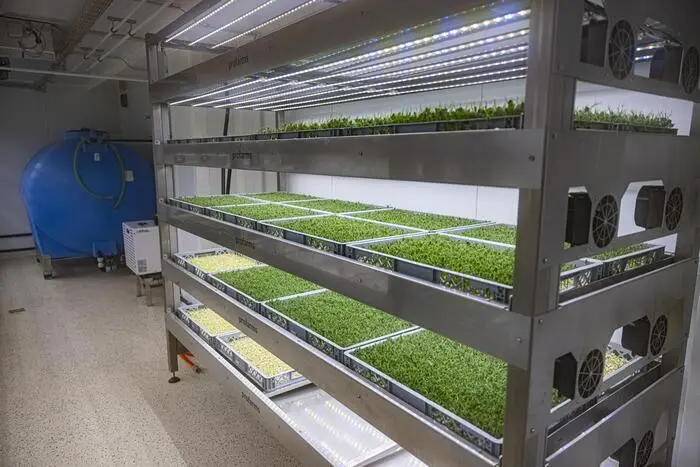 Jede Sorte bringt ihre eigene leuchtende Farbe, ihre besondere Form und einen kräftigen Geschmack mit.