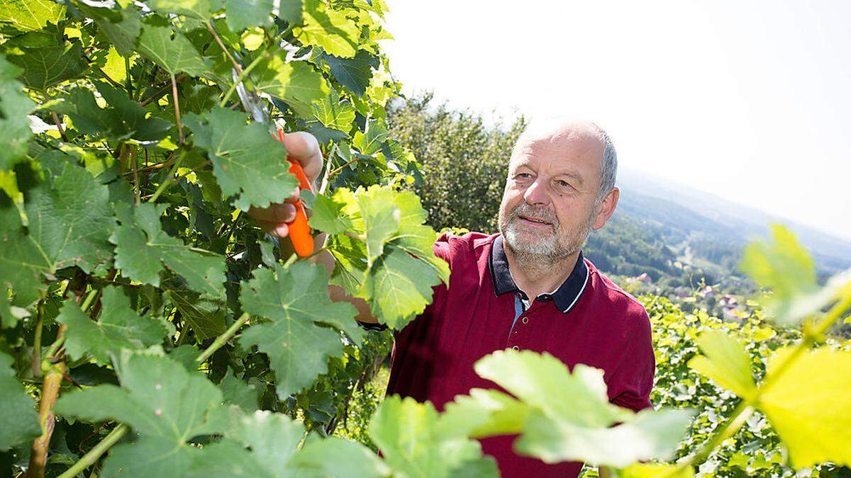 Sein Weingarten ist das Hobby des Theologen Fery Berger. Den Anbau begann er als „Spinnerei“, Wein hat für ihn auch eine spirituelle Dimension