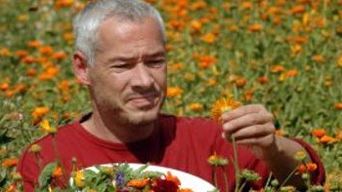 Brennnessel &amp; Co.: Wildkräuter erobern die Küche