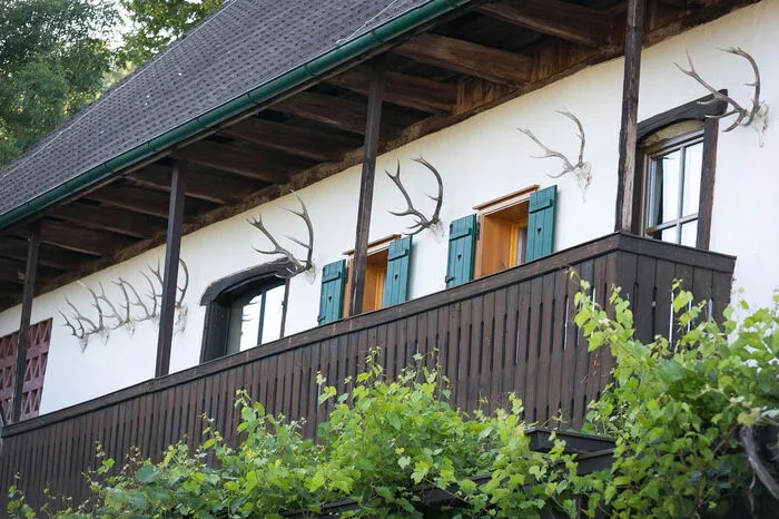 Die Gästezimmer haben einen Balkon in Richtung Innenhof, darunter wuchert Wein.