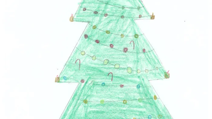 Der Christbaum von Felix Lind aus St. Ruprecht an der Raab.