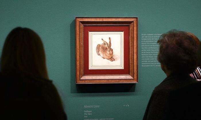 Der berühmte Dürer-Hase der Albertina wurde zuletzt 2019/20 ausgestellt