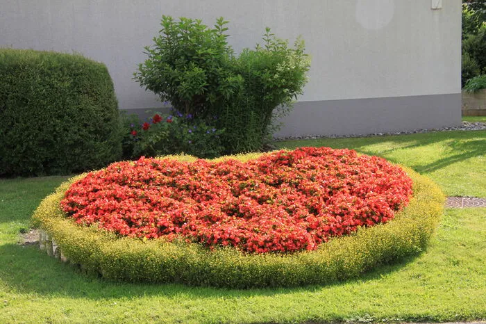Fünf Floras