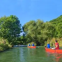 Die Natur soll aus Sicht Brüssels auch in Österreich wieder mehr Raum bekommen