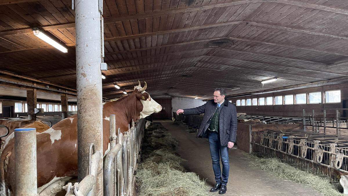 Landwirtschaftsminister Norbert Totschnig freundet sich mit den Kühen am Biobetrieb Peer an