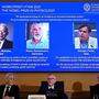 Der Nobelpreis für Physik geht in diesem Jahr an den Deutschen Klaus Hasselmann, Syukuro Manabe (USA) und den Italiener Giorgio Parisi für physikalische Modelle zum Erdklima