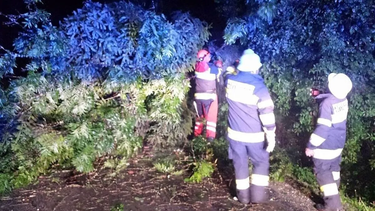 Der Leitenweg in der Gemeinde Weißenstein wurde durch entwurzelte Bäume verlegt