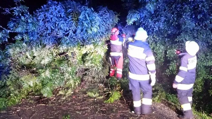 Der Leitenweg in der Gemeinde Weißenstein wurde durch entwurzelte Bäume verlegt