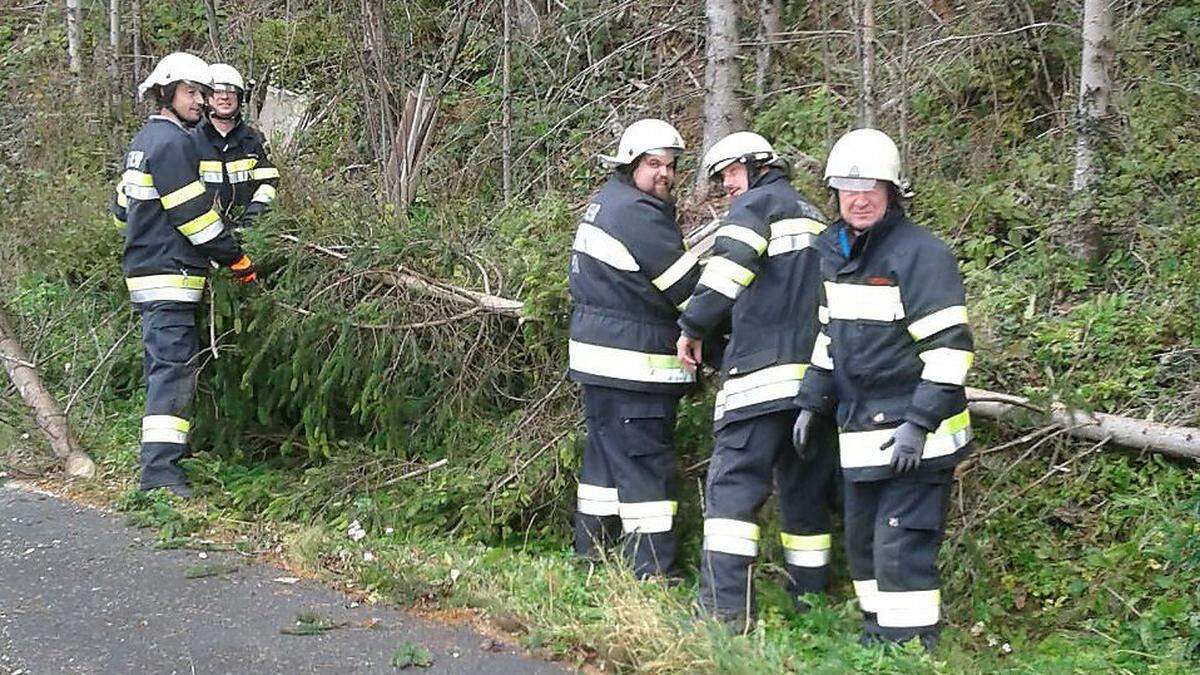 Die FF Afling beseitigte umgestürzte Bäume auf der Straße