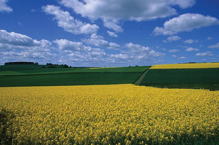 Im Frühling lässt die Rapsblüte die Landschaft in einem satten Gelb erstrahlen. Mischwälder bedecken die sanften Anhöhen. Dichter Eduard Mörike war einst schon von der Region angetan.
