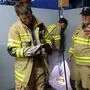 Die Feuerwehrmänner freuten sich sichtlich über die geglückte Rettung des Stubentigers