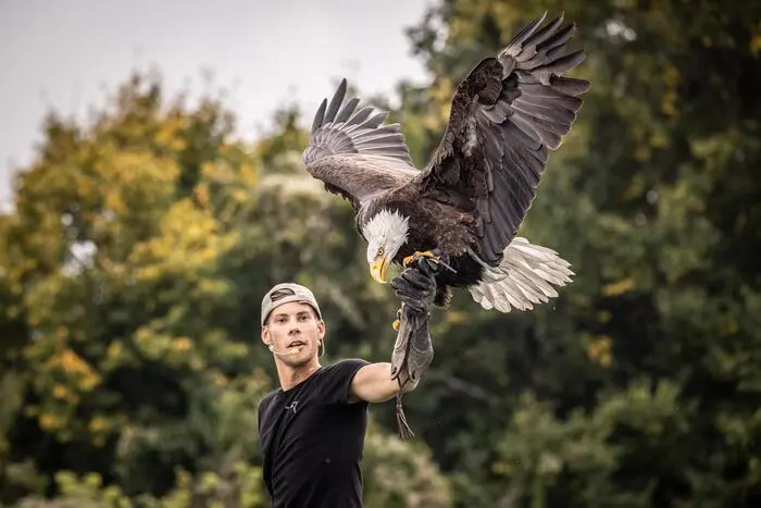 Von Greifvogelwarte ....