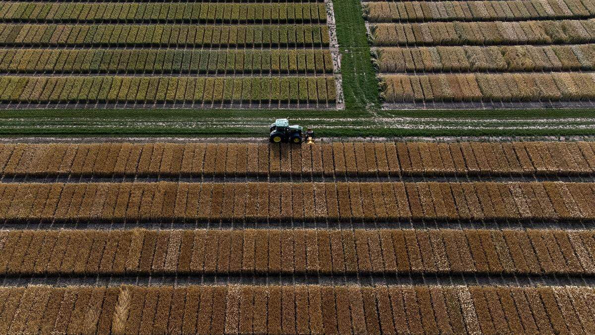 Die Ukraine will nun Getreide in die Welt liefern