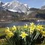 Der Frühling zaubert bunte Farbtupfer ins romantische Panorama am Grundlsee