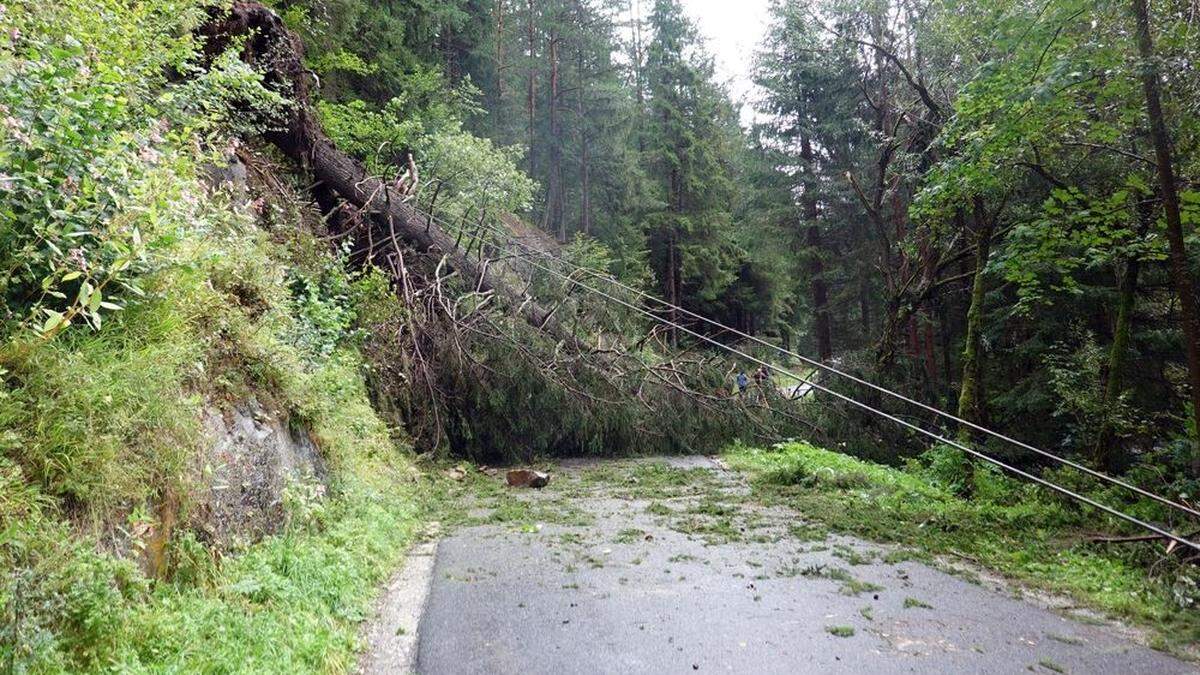 Umgestürzte Bäume machten die Straße unpassierbar