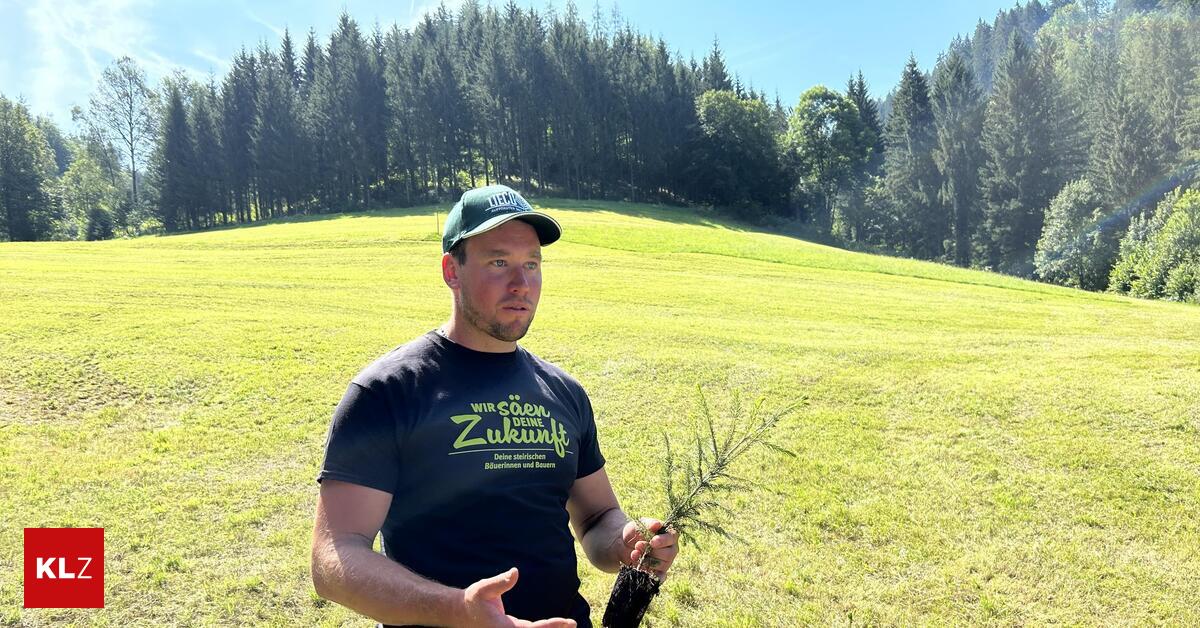 Obersteirischer-Landwirt-geht-mit-dem-Anbau-von-Soja-neue-Wege