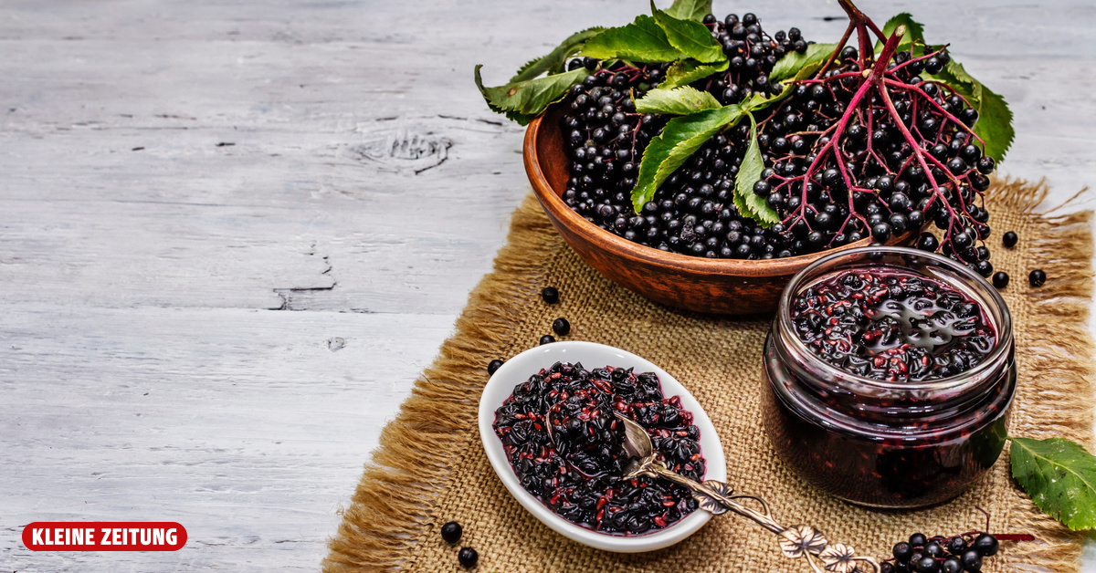 Rezept: Chutney aus Holunderbeeren