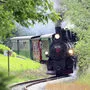 Feistritztalbahn mit alter Dampflok