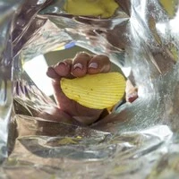 Chips zählen zu den hochverarbeiteten Lebensmitteln, diese sprechen unser Belohnungssystem im Gehirn an – aus diesem Grund ist es so schwierig, aufzuhören