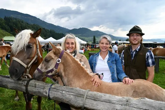 Rund 200 Fohlen mit ihren Stuten der Rassen Haflinger, Noriker und Ponys wurden von den vielen Besuchern bestaunt, berührt und  fotografiert. 
