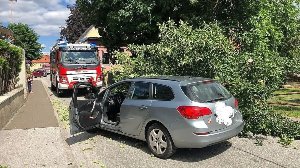 Der Baum landete am Auto