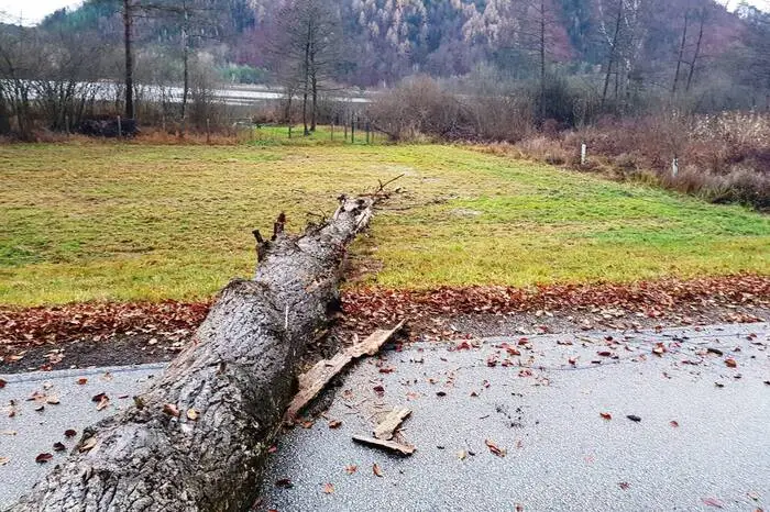 Die Feuerwehr Stein im Jauntal musste ausrücken und ließ die Straße sperren.