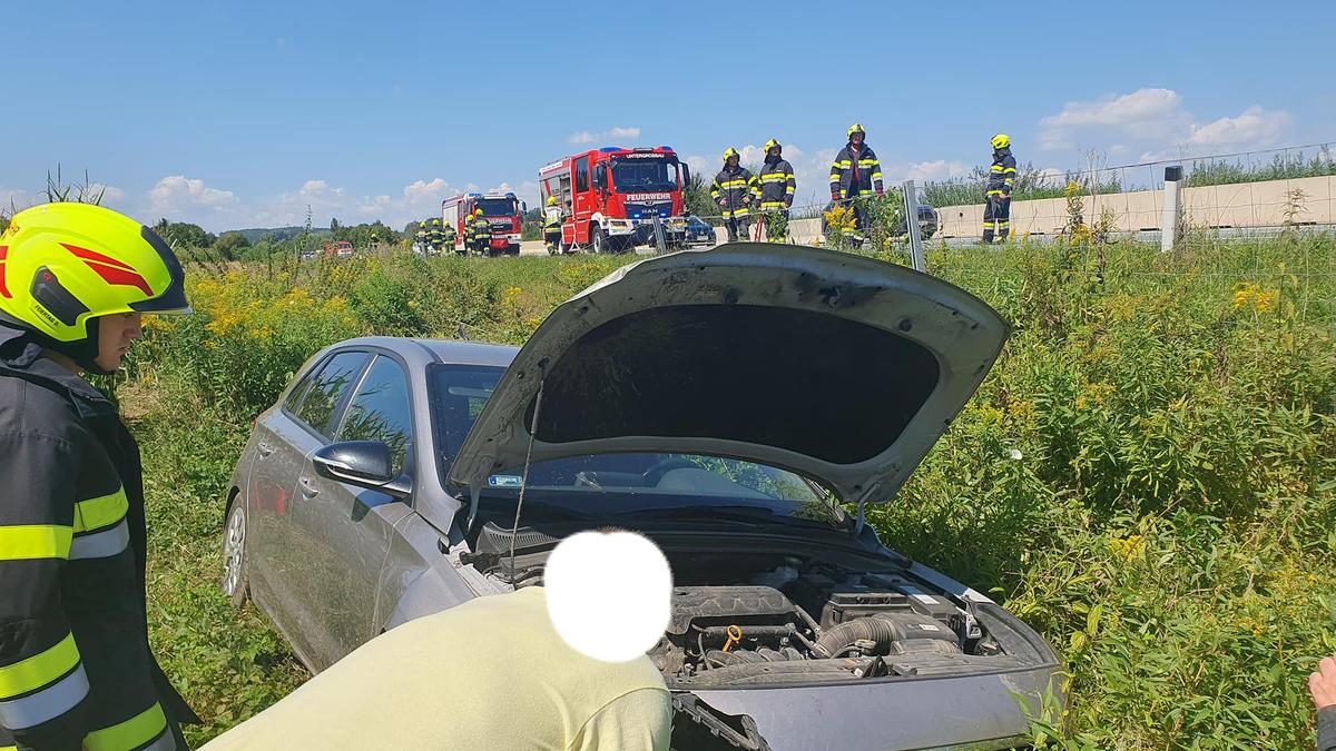 Der Pkw kam aus bisher ungeklärter Ursache vo nder Straße ab und landete in einem Maisacker