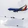 Bei einem Flug der Southwest Airlines kam es zu Problemen