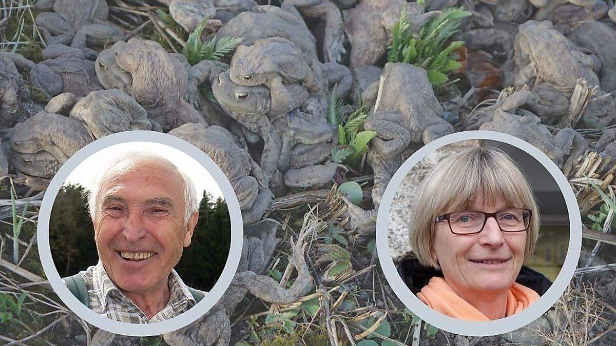 Anton Plaschzug und Renate Angerler setzen sich seit Jahren für Amphibien ein