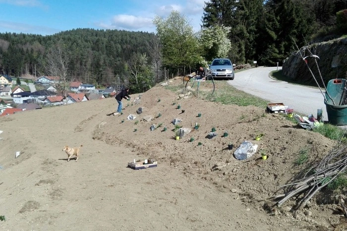 Das Gelände wurde terrassenförmig modelliert