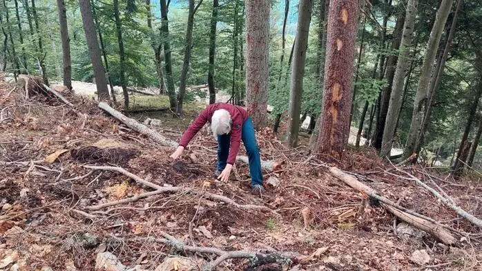 Eine Person mit grauen Haaren in unwegsamen Gelände