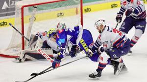 N. Scherbak und die Adler konnten Fehervar nicht biegen